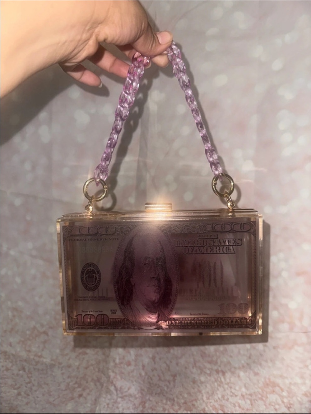Dollar bill clutch purse